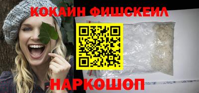 крисы Сланцы