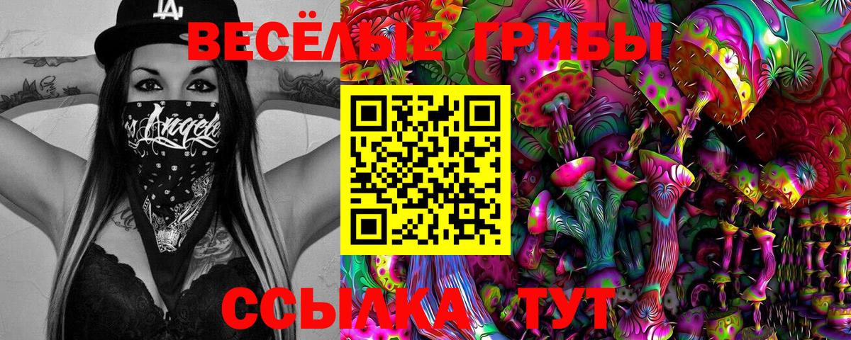 Новоуральск  Псилоцибиновые грибы Magic Shrooms  Вход с VPN 