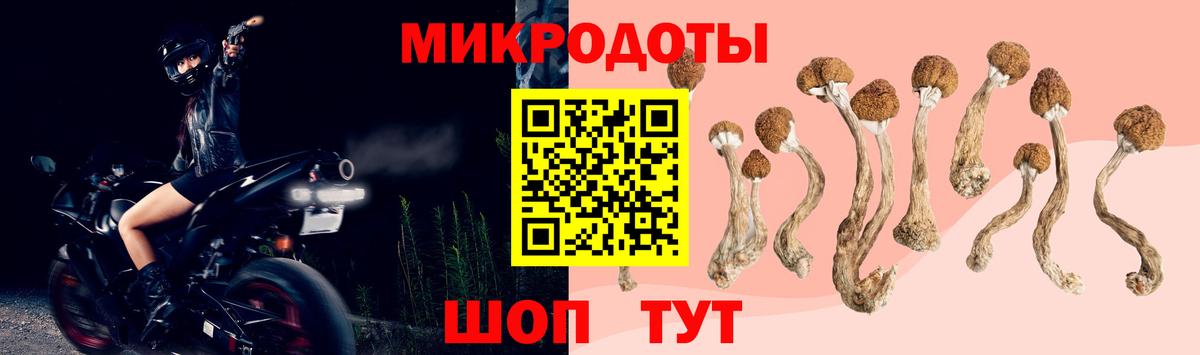 Галлюциногенные грибы Cubensis Новоуральск